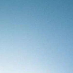 Meet your Posher, Dylan